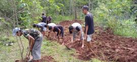 PEMUDA BOBUNG KERJA BAKTI MENGELOLA TANAH KAS DESA